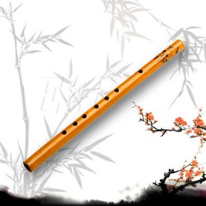 CHINESE MIDDLE FLUTE – D